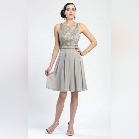 Sue Wong Sleeveless Low V-Cut Back Mesh Bodice Pleated Chiffon Dress - Picture 1 of 5